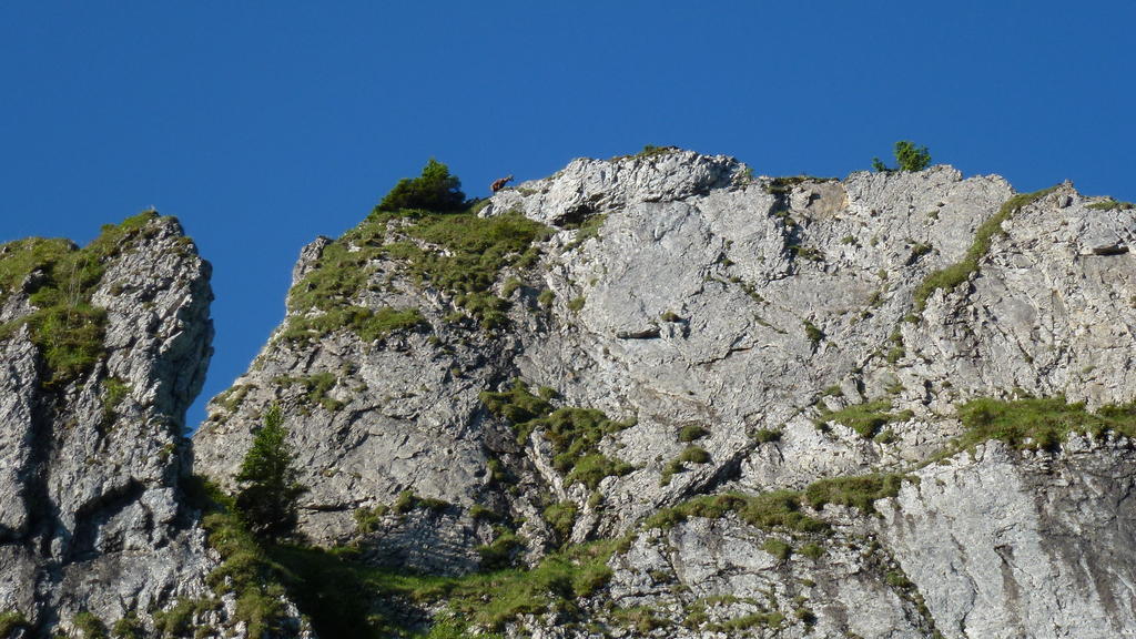 Gaestehaus Christa Obermaiselstein Eksteriør billede